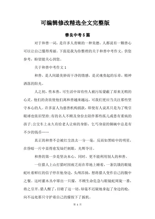 善良中考5篇【可修改文字】