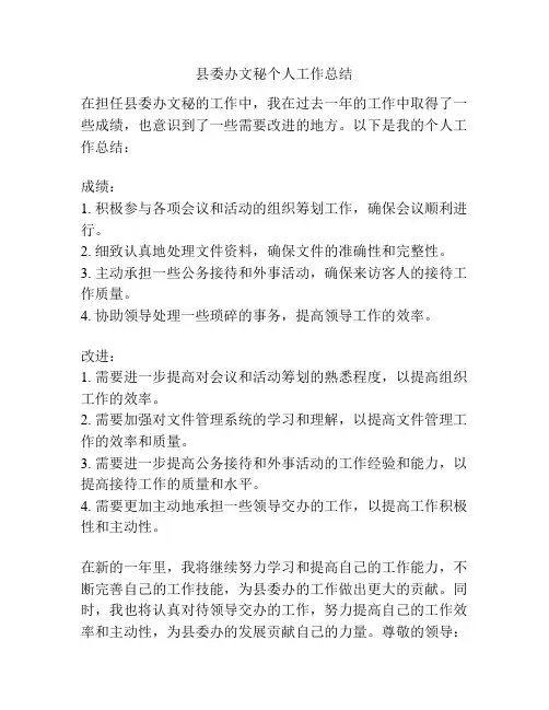 县委办文秘个人工作总结