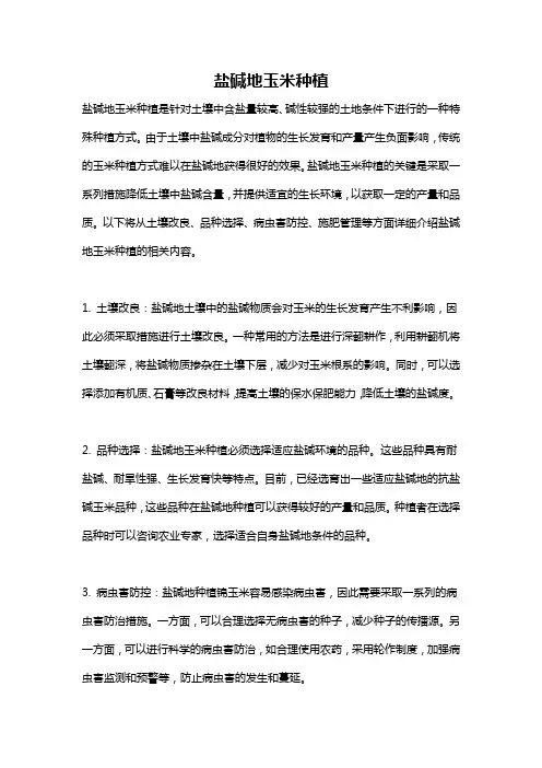 盐碱地玉米种植