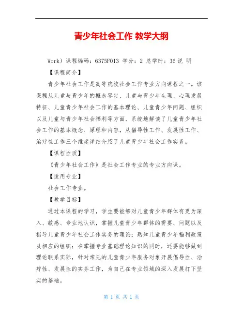青少年社会工作 教学大纲