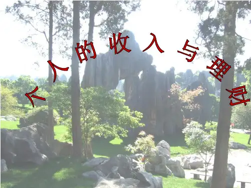 《个人的收入与理财》PPT课件