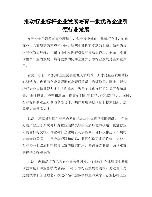 推动行业标杆企业发展培育一批优秀企业引领行业发展