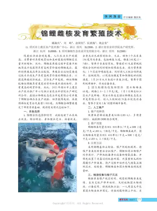 锦鲤雌核发育繁殖技术