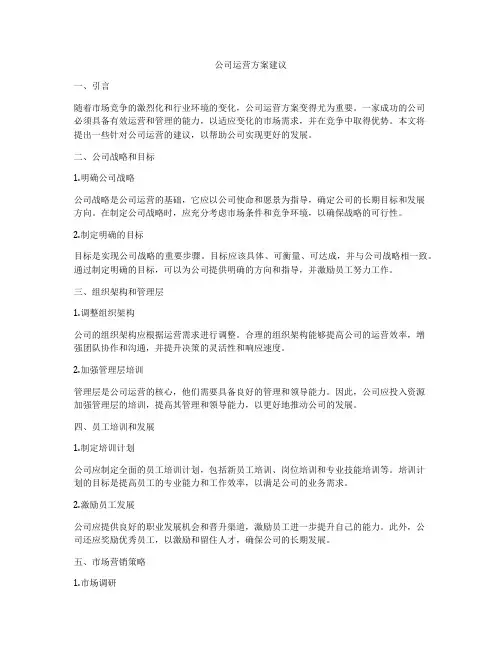 公司运营方案建议