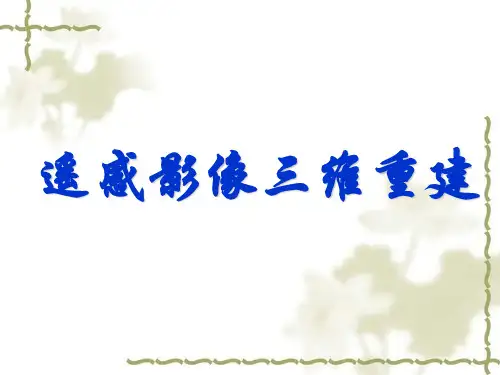 基于遥感的三维重建理论和方法