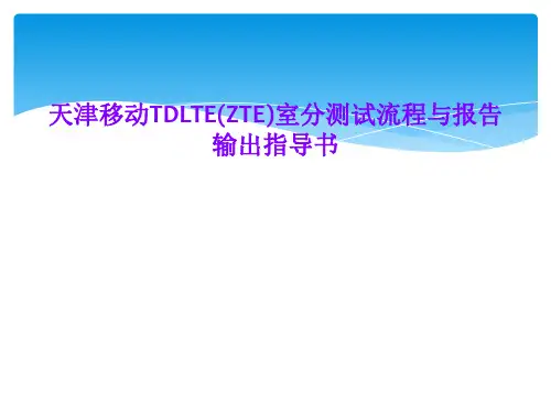 天津移动TDLTE(ZTE)室分测试流程与报告输出指导书