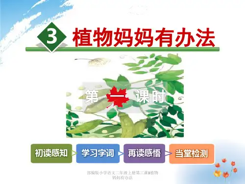 部编版小学语文二年级上册第三课3植物妈妈有办法 ppt课件