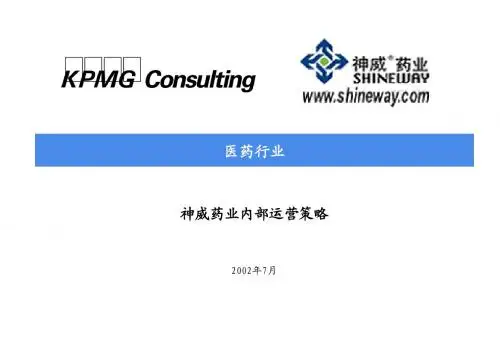 毕马威-神威-内部运营策略报告