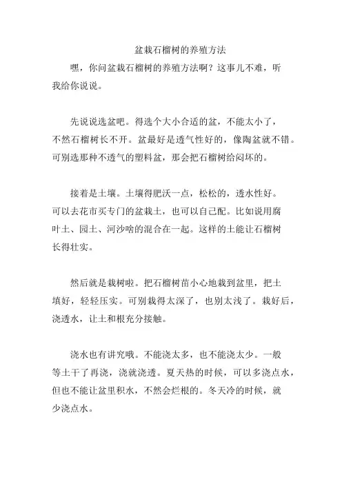 盆栽石榴树的养殖方法