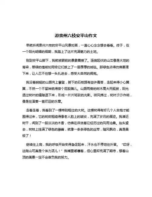 游贵州六枝安平山作文
