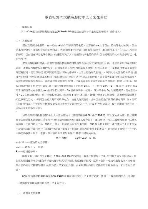SDS-PAGE电泳实验步骤
