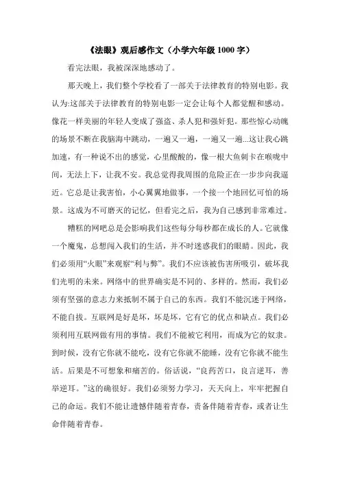 《法眼》观后感作文(小学六年级1000字).doc