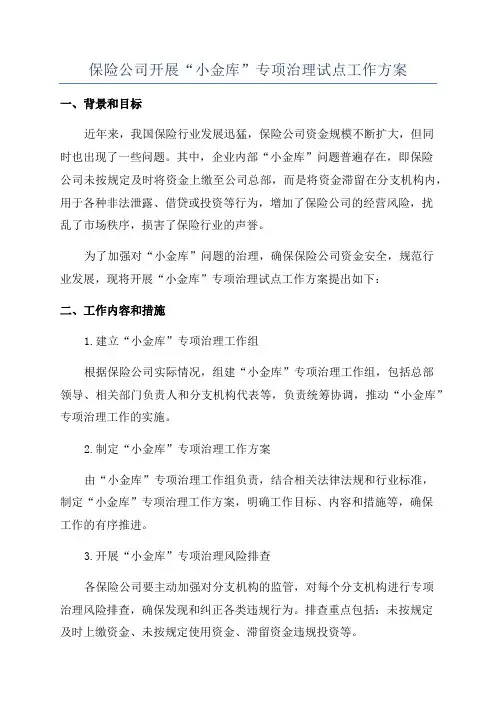 保险公司开展“小金库”专项治理试点工作方案