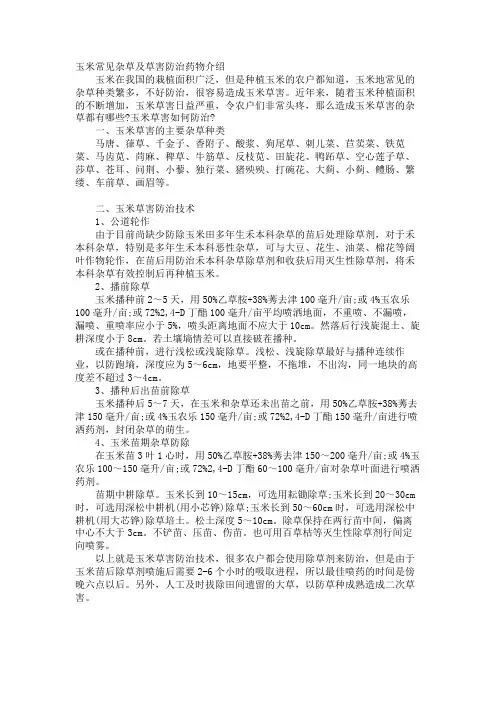 玉米常见杂草及草害防治药物介绍