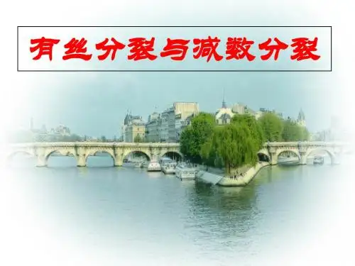 人教版高中生物必修2第2章(共20张PPT)
