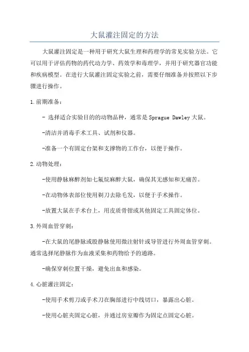 大鼠灌注固定的方法
