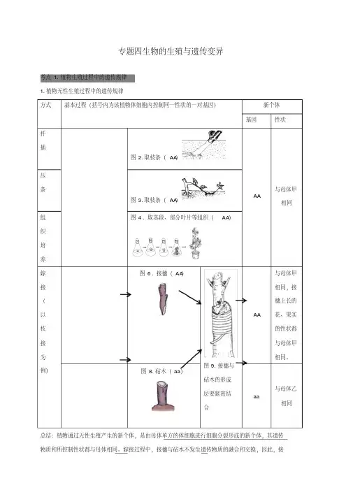 广东省中山市2018生物中考专题四生物的生殖与遗传变异