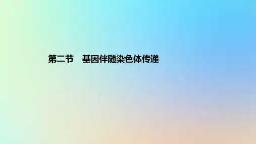 2.2基因伴随染色体传递课件高一下学期生物浙科版必修2