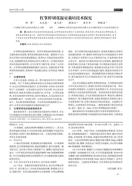 红掌鲜切花温室栽培技术探究