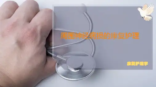 周围神经病损的康复护理【41页】