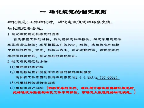 磁化规范