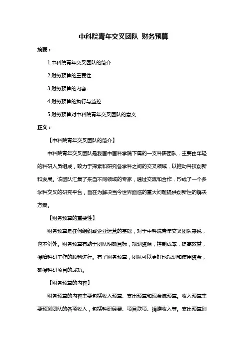 中科院青年交叉团队 财务预算