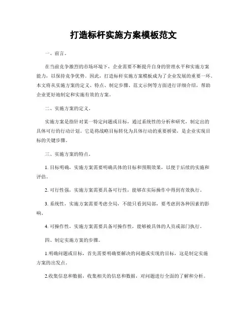 打造标杆实施方案模板范文