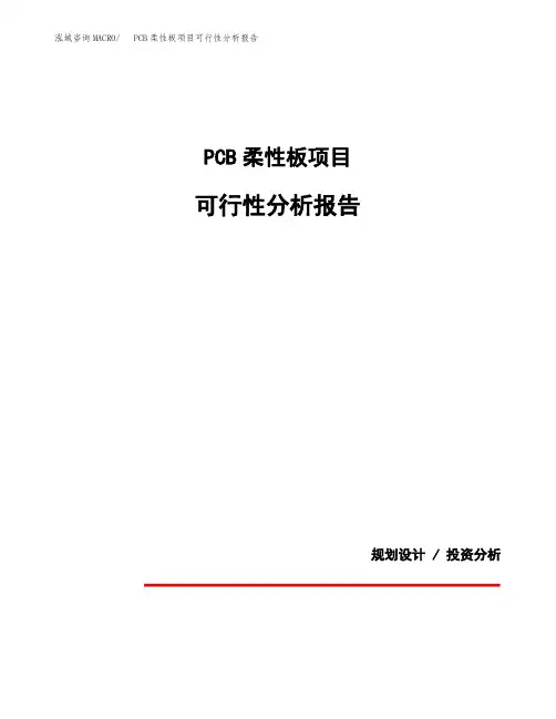 PCB柔性板项目可行性分析报告(模板参考范文)
