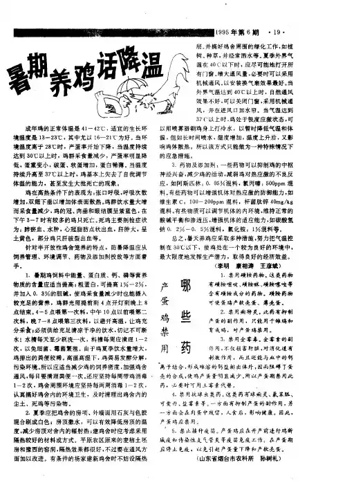 产蛋鸡禁用哪些药