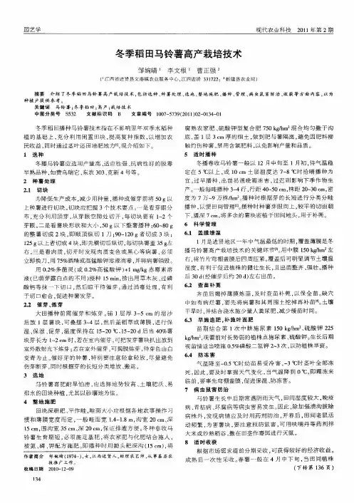 冬季稻田马铃薯高产栽培技术