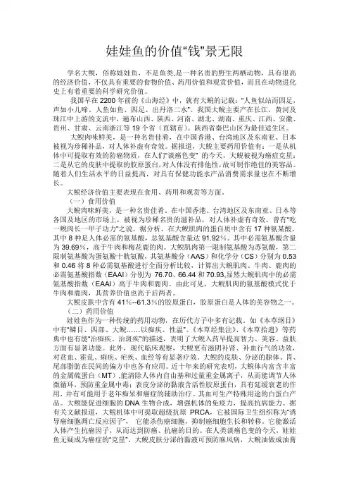 娃娃鱼的价值“钱”景无限