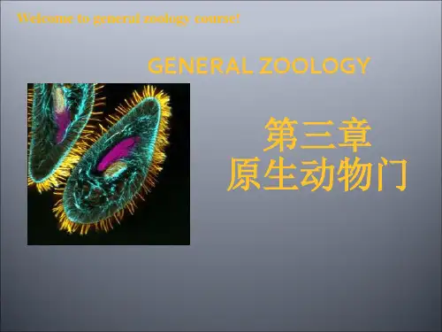 普通动物学课件第三章原生动物门