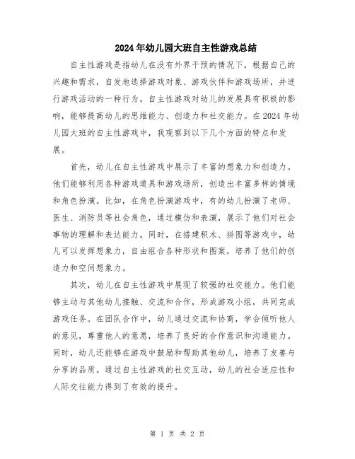 2024年幼儿园大班自主性游戏总结
