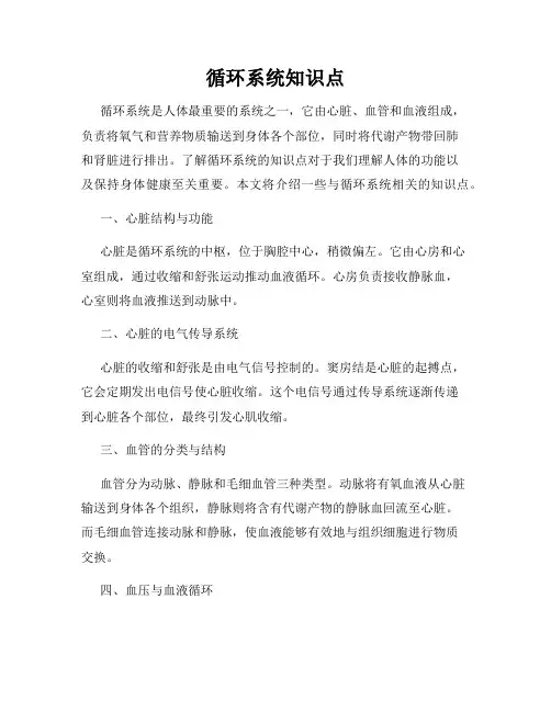 循环系统知识点