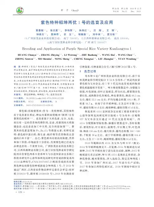 紫色特种稻坤两优1号的选育及应用