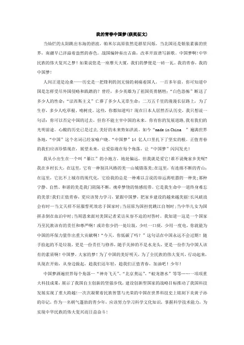 我的青春中国梦(获奖征文)