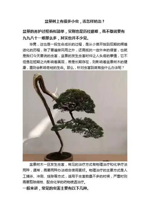 盆景树上有很多小虫，该怎样防治？