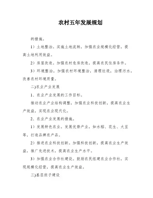 农村五年发展规划