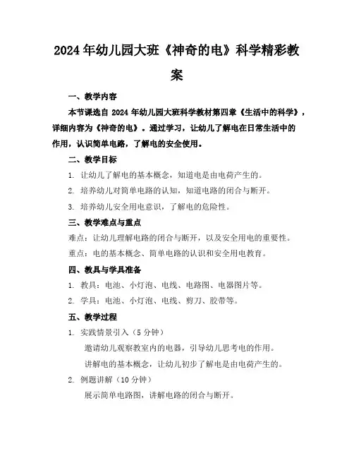 2024年幼儿园大班《神奇的电》科学精彩教案