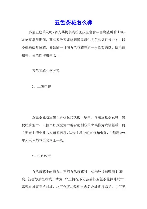 五色茶花怎么养