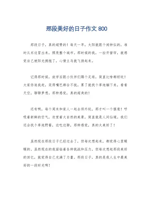 那段美好的日子作文800