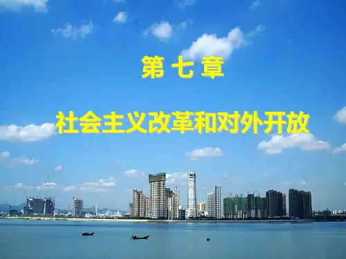 毛概第七章