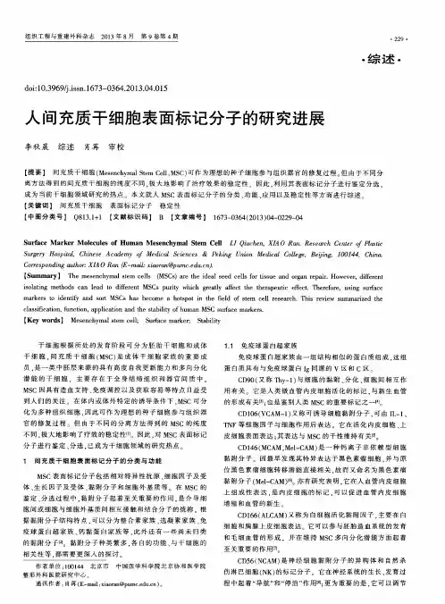 人间充质干细胞表面标记分子的研究进展