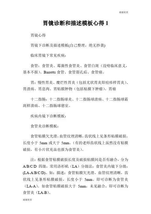 胃镜诊断和描述模板心得.doc