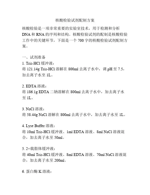 核酸检验试剂配制方案