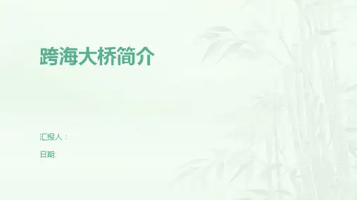 跨海大桥简介