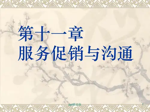 服务营销_第十一章 服务促销与沟通ppt精选课件