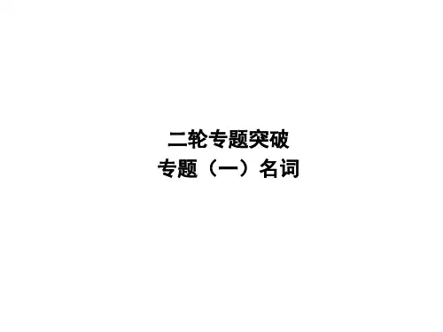 2020中考英语复习课件：二轮专题突破 专题一 名词(共17张PPT)