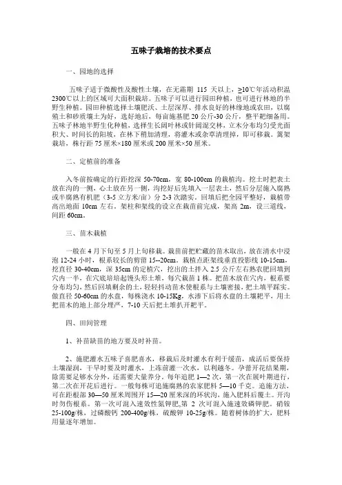 五味子栽培的技术要点