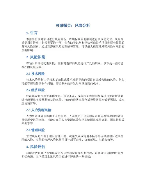 可研报告 风险分析